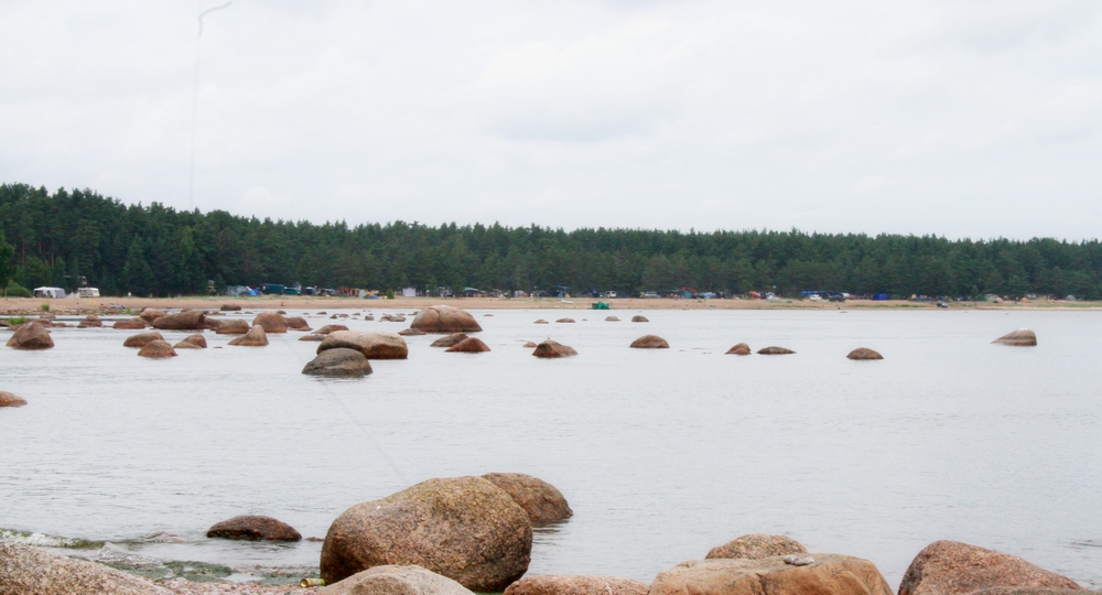 Агрикола-2013