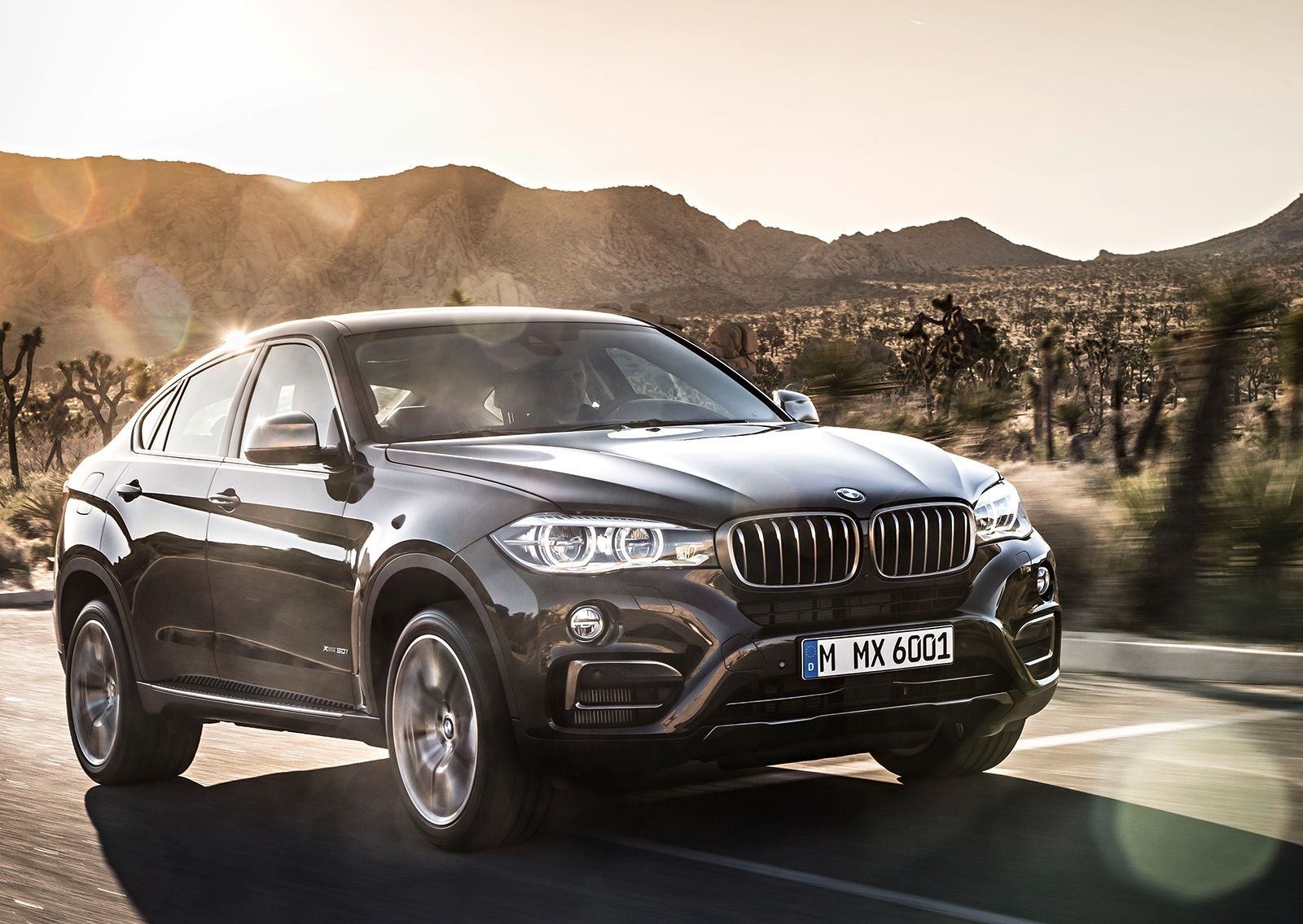 BMW X6 2014