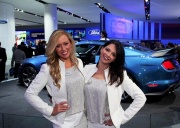 Детройт-2015: самые красивые девушки автошоу