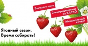 КлубNika Days в «Фольксваген Центрах Таллинский», «Пулково» и «Лахта»