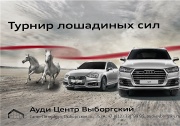 Ауди Центр Выборгский поддерживает Открытый кубок губернатора Ленинградской области по конкуру 2016
