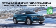 SKODA KODIAQ с комплектом зимних шин в подарок от Сигма Сервис